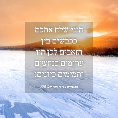 Picture 04 - הבשורה על־פי מתי 10:16 HEB - הנני שלח אתכם ככבשים בין - Bible Verse Picture