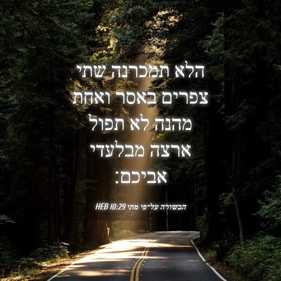 Picture 04 - הבשורה על־פי מתי 10:29 HEB - הלא תמכרנה שתי צפרים באסר - Bible Verse Picture