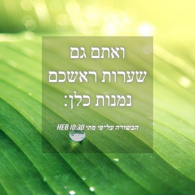 Picture 04 - הבשורה על־פי מתי 10:30 HEB - ואתם גם שערות ראשכם נמנות - Bible Verse Picture