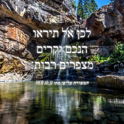 Picture 04 - הבשורה על־פי מתי 10:31 HEB - לכן אל תיראו הנכם יקרים - Bible Verse Picture