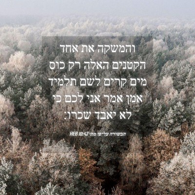 Picture 04 - הבשורה על־פי מתי 10:42 HEB - והמשקה את אחד הקטנים האלה - Bible Verse Picture