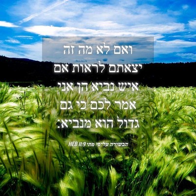 Picture 04 - הבשורה על־פי מתי 11:9 HEB - ואם לא מה זה יצאתם לראות אם - Bible Verse Picture