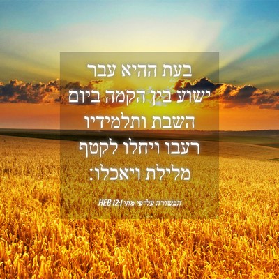 Picture 04 - הבשורה על־פי מתי 12:1 HEB - בעת ההיא עבר ישוע בין הקמה - Bible Verse Picture