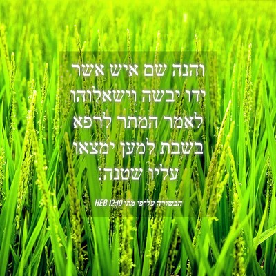 Picture 04 - הבשורה על־פי מתי 12:10 HEB - והנה שם איש אשר ידו יבשה - Bible Verse Picture