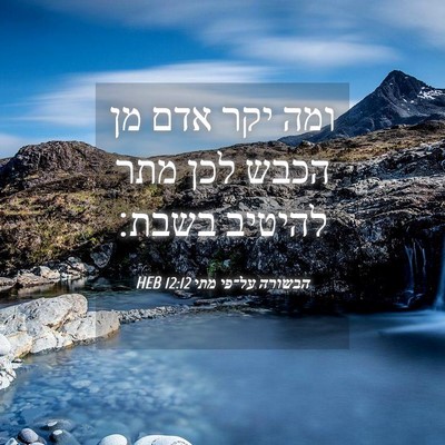 Picture 04 - הבשורה על־פי מתי 12:12 HEB - ומה יקר אדם מן הכבש לכן מתר - Bible Verse Picture