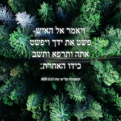 Picture 04 - הבשורה על־פי מתי 12:13 HEB - ויאמר אל האיש פשט את ידך - Bible Verse Picture