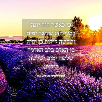 Picture 04 - הבשורה על־פי מתי 12:40 HEB - כי כאשר היה יונה במעי הדג - Bible Verse Picture