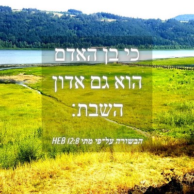 Picture 04 - הבשורה על־פי מתי 12:8 HEB - כי בן האדם הוא גם אדון - Bible Verse Picture