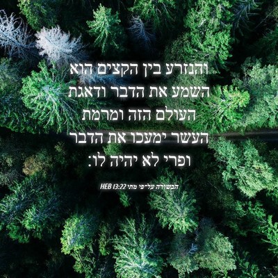 Picture 04 - הבשורה על־פי מתי 13:22 HEB - והנזרע בין הקצים הוא השמע - Bible Verse Picture