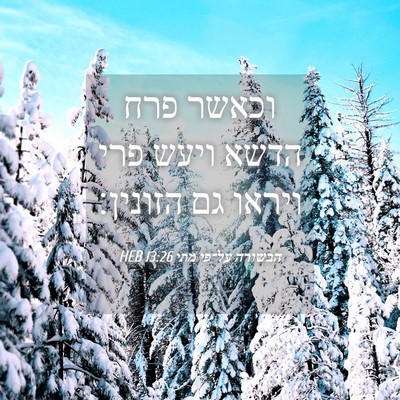 Picture 04 - הבשורה על־פי מתי 13:26 HEB - וכאשר פרח הדשא ויעש פרי - Bible Verse Picture