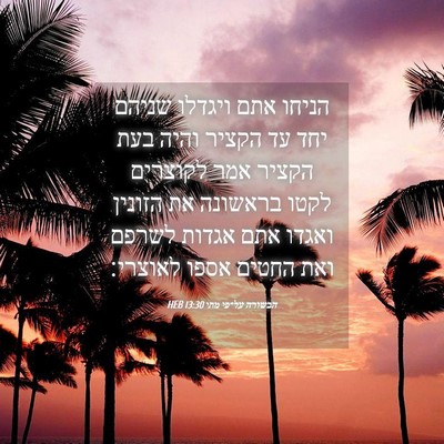 Picture 04 - הבשורה על־פי מתי 13:30 HEB - הניחו אתם ויגדלו שניהם יחד - Bible Verse Picture