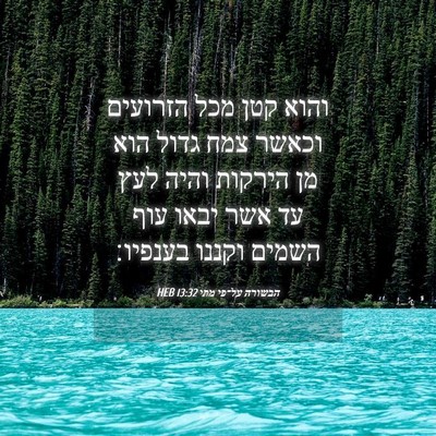 Picture 04 - הבשורה על־פי מתי 13:32 HEB - והוא קטן מכל הזרועים וכאשר - Bible Verse Picture