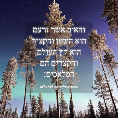 Picture 04 - הבשורה על־פי מתי 13:39 HEB - והאיב אשר זרעם הוא השטן - Bible Verse Picture