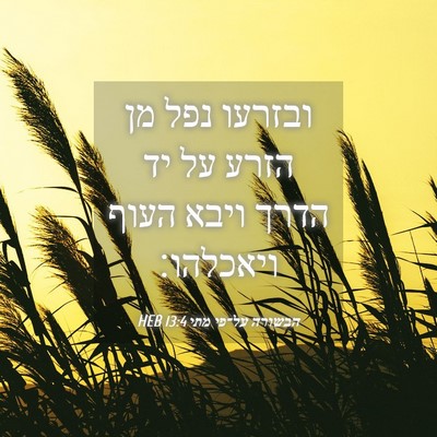 Picture 04 - הבשורה על־פי מתי 13:4 HEB - ובזרעו נפל מן הזרע על יד - Bible Verse Picture