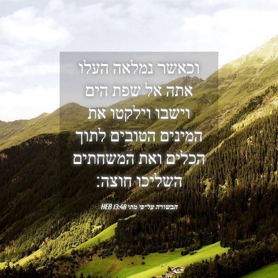 Picture 04 - הבשורה על־פי מתי 13:48 HEB - וכאשר נמלאה העלו אתה אל שפת - Bible Verse Picture