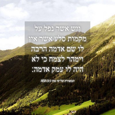 Picture 04 - הבשורה על־פי מתי 13:5 HEB - ויש אשר נפל על מקמות סלע - Bible Verse Picture
