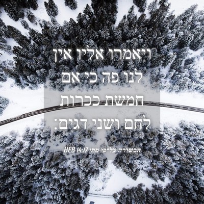 Picture 04 - הבשורה על־פי מתי 14:17 HEB - ויאמרו אליו אין לנו פה כי - Bible Verse Picture