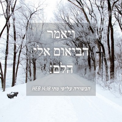 Picture 04 - הבשורה על־פי מתי 14:18 HEB - ויאמר הביאום אלי - Bible Verse Picture