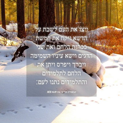 Picture 04 - הבשורה על־פי מתי 14:19 HEB - ויצו את העם לשבת על הדשא - Bible Verse Picture