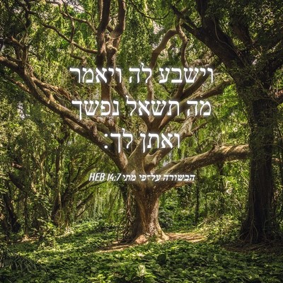 Picture 04 - הבשורה על־פי מתי 14:7 HEB - וישבע לה ויאמר מה תשאל נפשך - Bible Verse Picture