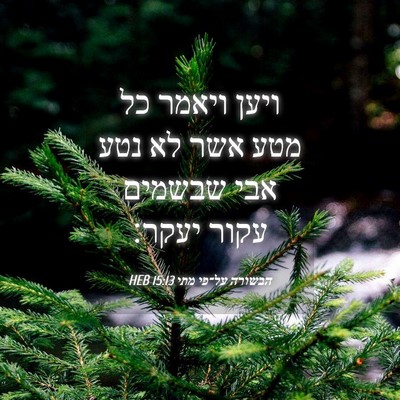 Picture 04 - הבשורה על־פי מתי 15:13 HEB - ויען ויאמר כל מטע אשר לא - Bible Verse Picture