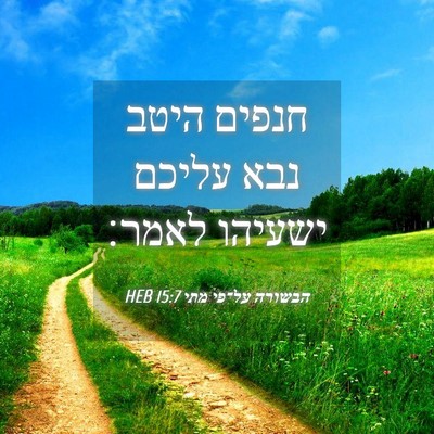 Picture 04 - הבשורה על־פי מתי 15:7 HEB - חנפים היטב נבא עליכם - Bible Verse Picture