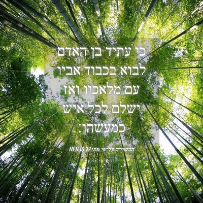 Picture 04 - הבשורה על־פי מתי 16:27 HEB - כי עתיד בן האדם לבוא בכבוד - Bible Verse Picture