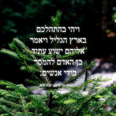 Picture 04 - הבשורה על־פי מתי 17:22 HEB - ויהי בהתהלכם בארץ הגליל - Bible Verse Picture