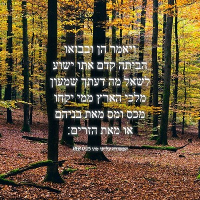 Picture 04 - הבשורה על־פי מתי 17:25 HEB - ויאמר הן ובבואו הביתה קדם - Bible Verse Picture