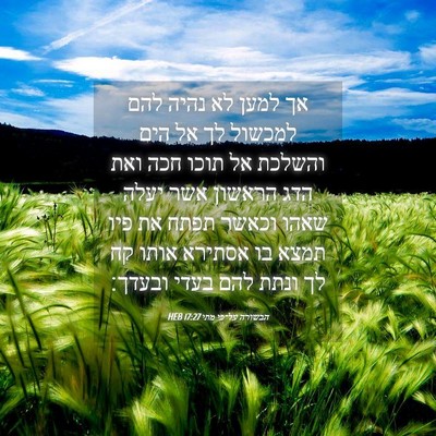 Picture 04 - הבשורה על־פי מתי 17:27 HEB - אך למען לא נהיה להם למכשול - Bible Verse Picture