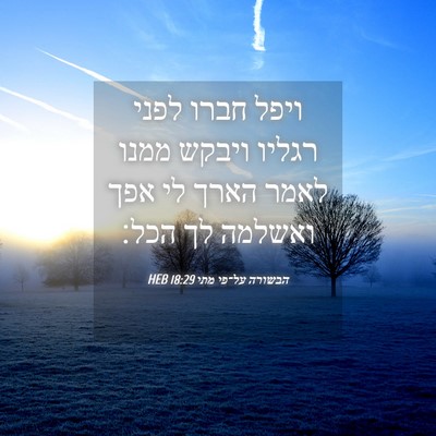 Picture 04 - הבשורה על־פי מתי 18:29 HEB - ויפל חברו לפני רגליו ויבקש - Bible Verse Picture