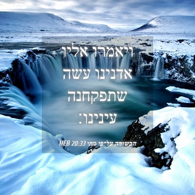 Picture 04 - הבשורה על־פי מתי 20:33 HEB - ויאמרו אליו אדנינו עשה - Bible Verse Picture