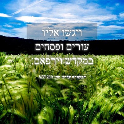 Picture 04 - הבשורה על־פי מתי 21:14 HEB - ויגשו אליו עורים ופסחים - Bible Verse Picture