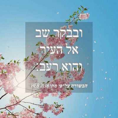 Picture 04 - הבשורה על־פי מתי 21:18 HEB - ובבקר שב אל העיר והוא - Bible Verse Picture
