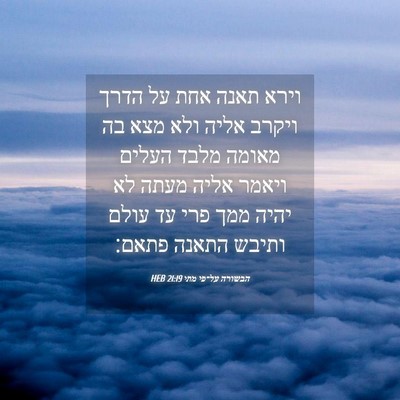 Picture 04 - הבשורה על־פי מתי 21:19 HEB - וירא תאנה אחת על הדרך ויקרב - Bible Verse Picture