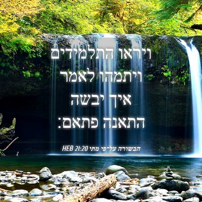 Picture 04 - הבשורה על־פי מתי 21:20 HEB - ויראו התלמידים ויתמהו לאמר - Bible Verse Picture