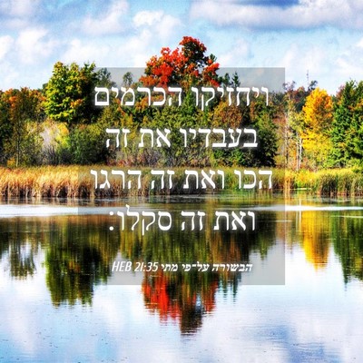 Picture 04 - הבשורה על־פי מתי 21:35 HEB - ויחזיקו הכרמים בעבדיו את - Bible Verse Picture