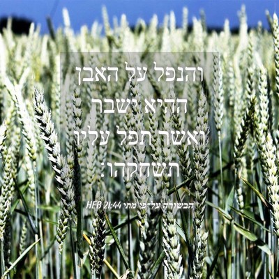 Picture 04 - הבשורה על־פי מתי 21:44 HEB - והנפל על האבן ההיא ישבר - Bible Verse Picture