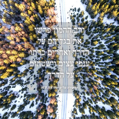 Picture 04 - הבשורה על־פי מתי 21:8 HEB - ורב ההמון פרשו את בגדיהם על - Bible Verse Picture
