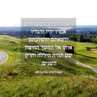 Picture 04 - הבשורה על־פי מתי 22:13 HEB - ויאמר המלך למשרתים אסרו - Bible Verse Picture