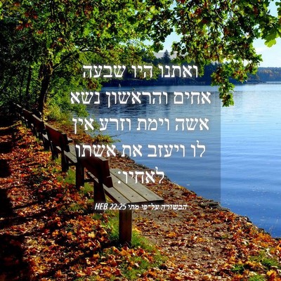 Picture 04 - הבשורה על־פי מתי 22:25 HEB - ואתנו היו שבעה אחים - Bible Verse Picture
