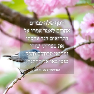 Picture 04 - הבשורה על־פי מתי 22:4 HEB - ויסף שלח עבדים אחרים לאמר - Bible Verse Picture