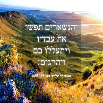 Picture 04 - הבשורה על־פי מתי 22:6 HEB - והנשארים תפשו את עבדיו - Bible Verse Picture