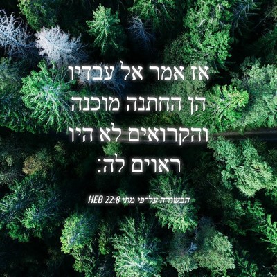 Picture 04 - הבשורה על־פי מתי 22:8 HEB - אז אמר אל עבדיו הן החתנה - Bible Verse Picture