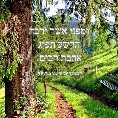 Picture 04 - הבשורה על־פי מתי 24:12 HEB - ומפני אשר ירבה הרשע תפוג - Bible Verse Picture