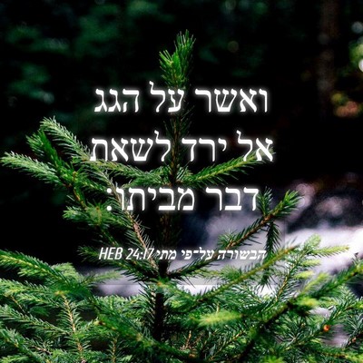 Picture 04 - הבשורה על־פי מתי 24:17 HEB - ואשר על הגג אל ירד לשאת דבר - Bible Verse Picture
