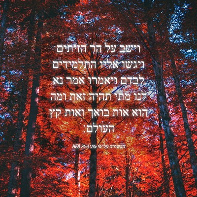 Picture 04 - הבשורה על־פי מתי 24:3 HEB - וישב על הר הזיתים ויגשו - Bible Verse Picture