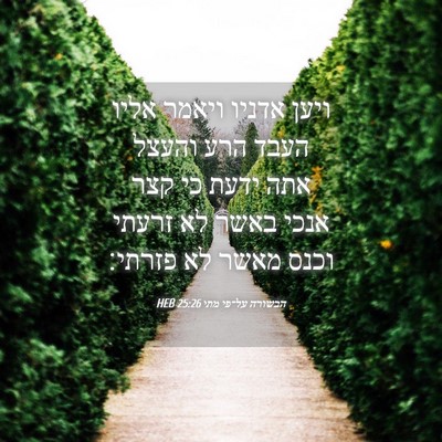 Picture 04 - הבשורה על־פי מתי 25:26 HEB - ויען אדניו ויאמר אליו העבד - Bible Verse Picture