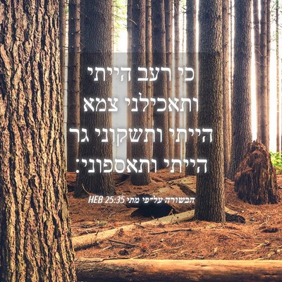 Picture 04 - הבשורה על־פי מתי 25:35 HEB - כי רעב הייתי ותאכילני צמא - Bible Verse Picture