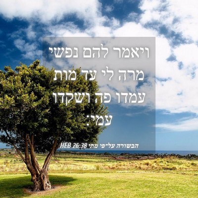 Picture 04 - הבשורה על־פי מתי 26:38 HEB - ויאמר להם נפשי מרה לי עד - Bible Verse Picture